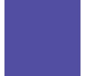 Siser Flexfolie EasyWeed ™ Wicked Purple Siser Flexfolie EasyWeed ™ Wicked Purple