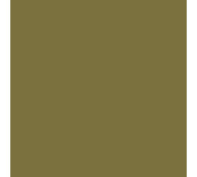 Siser Flexfolie EasyWeed ™ Electric Olive Siser Flexfolie EasyWeed ™ Electric Olive
