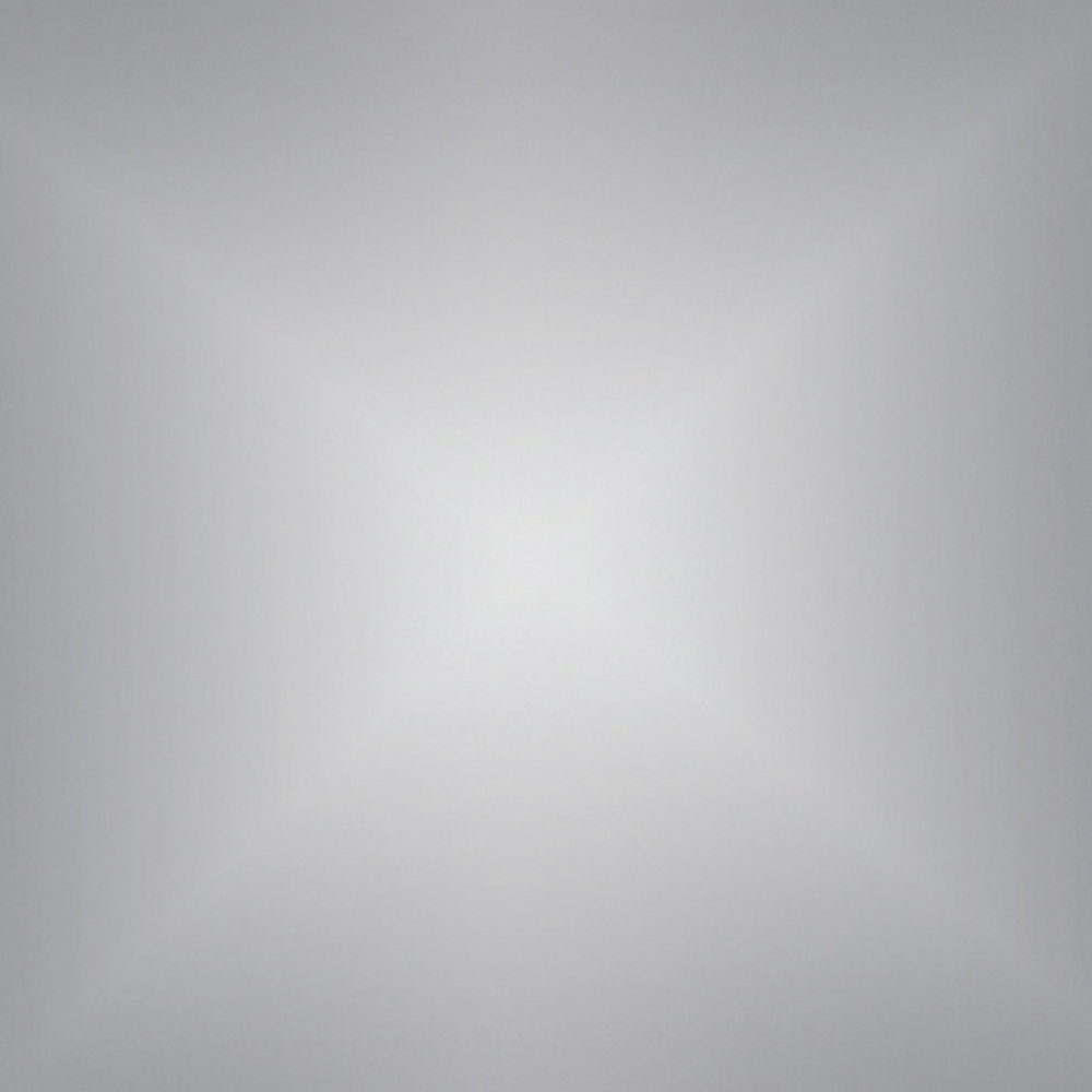 Siser Flexfolie EasyWeed ™ Electric Silver Siser Flexfolie EasyWeed ™ Electric Silver