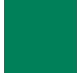 Siser Flexfolie EasyWeed ™ Electric Green Siser Flexfolie EasyWeed ™ Electric Green