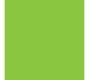 Siser Flexfolie EasyWeed™ Extra Fluo Green Siser Flexfolie EasyWeed™ Extra Fluo Green