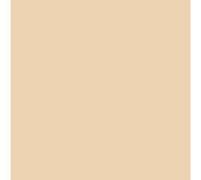 Siser Flexfolie EasyWeed™ Extra Pearl Siser Flexfolie EasyWeed™ Extra Pearl