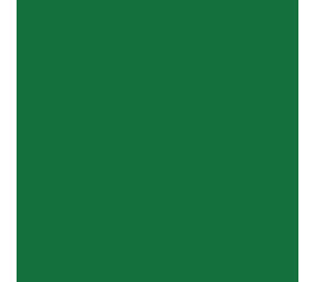 Siser Flexfolie EasyWeed™ Extra Green Siser Flexfolie EasyWeed™ Extra Green