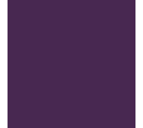 Siser Flexfolie EasyWeed™ Extra Purple Siser Flexfolie EasyWeed™ Extra Purple