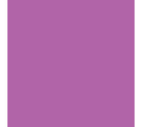 Siser Flexfolie EasyWeed™ Extra Radiant Orchid Siser Flexfolie EasyWeed™ Extra Radiant Orchid