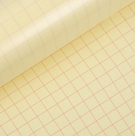 Transfer Tape with Liner