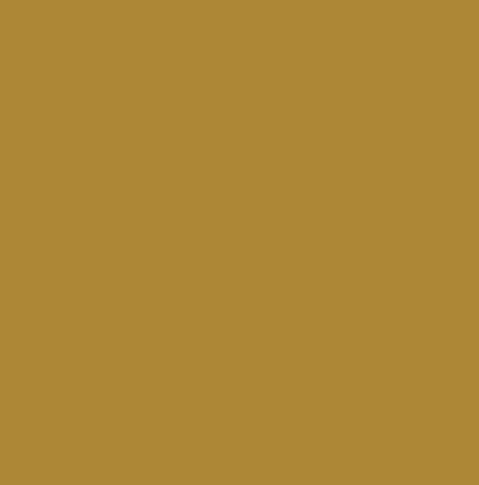 Ritrama Vinyl Goud (M) Ritrama Vinyl Goud (M)