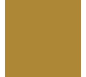 Ritrama Vinyl Goud (M) Ritrama Vinyl Goud (M)