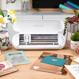 Silhouette Portrait 3