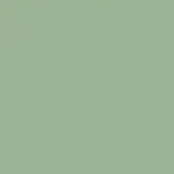 Siser Flexfolie EasyWeed ™ Sage Siser Flexfolie EasyWeed ™ Sage