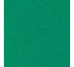 Siser Thermoreflex Green Siser Thermoreflex Green