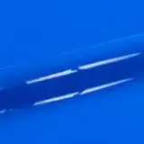 Siser Flexfolie Brick 600 Fluo Blue Siser Flexfolie Brick 600 Fluo Blue
