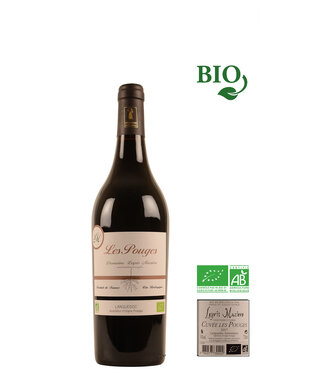 Domaine Leyris Maziere Les Pouges BIO