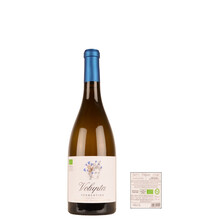 Volupta Terre Siciliana BIO Vermentino 2021