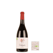 Volupta BIO Syrah Terre Siciliana IGT 2020