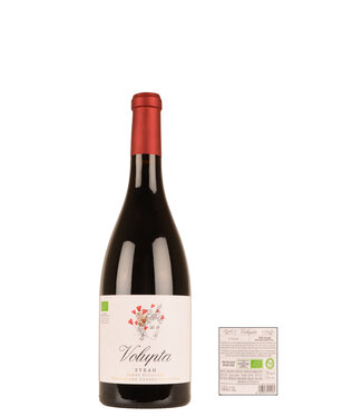 Volupta BIO Syrah Terre Siciliana IGT 2020