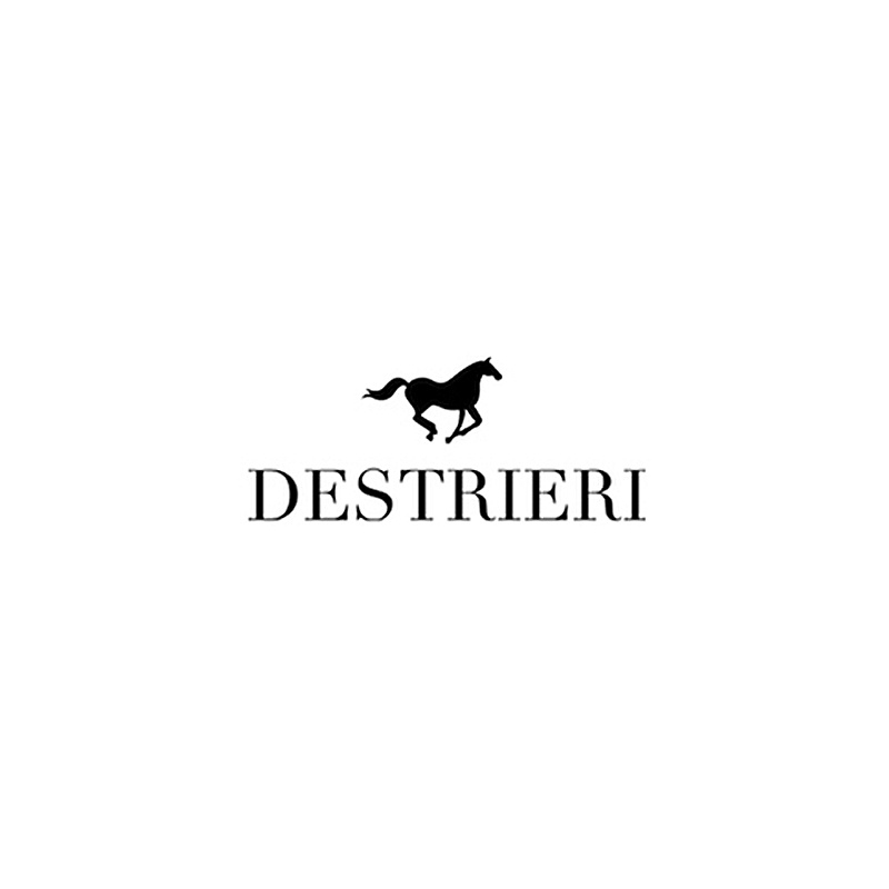 Destrieri