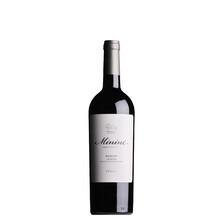 Cantine Minini Selezione Premium  Merlot Veneto 2020