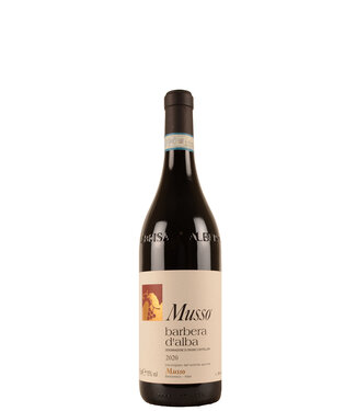 Musso Valter Barbera d'Alba Doc 2021