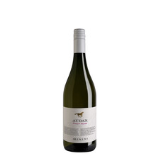 Destrieri Cantini Minini Audax Pinot Noir 2019