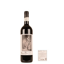 Claroscuro Uco Valley - Bodega de Arte Gran Malbec 2020