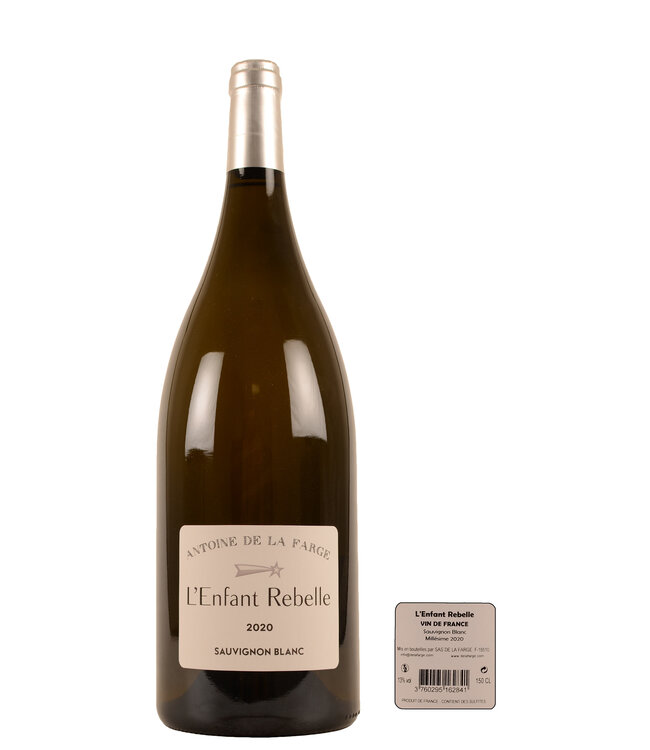 Grand Vin - Artisan des Terroirs L'Enfant Rebelle 2020 Magnum