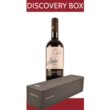 WIJNDEAL Discovery Box Chile