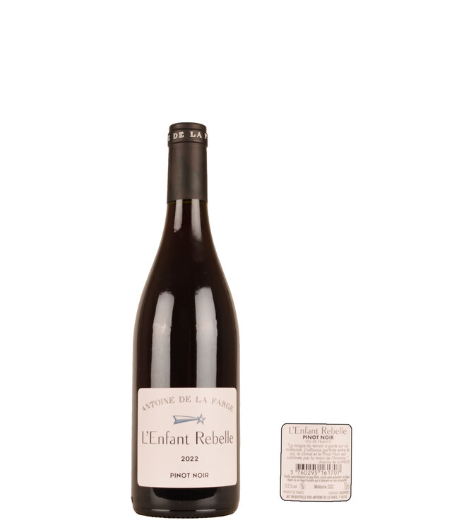 Grand Vin - Artisan des Terroirs L'Enfant Rebelle Rouge 2022