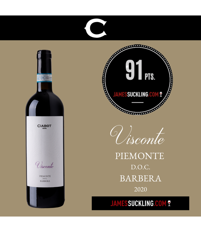 Visconte - Piemonte Doc Barbera 2020