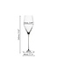 Definition Champagneglazen 250 ml - 6 stuks (3x2 glazen)