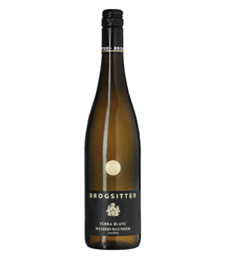 Brogsitter Weingüter Rheinhessen Terra Blanc Weissburgunder 2022