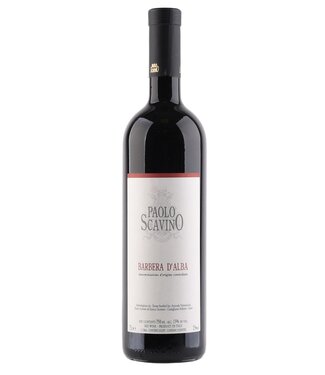 Tenuta Paolo Scavino Barbera d'Alba DOC 2024