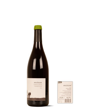 Weingut Pflüger BIO Tradition Dürkheim Pinot Noir 2023