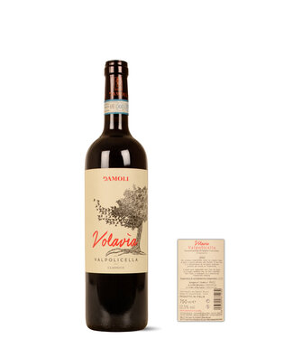 Damoli Valpolicella Classico DOC Corvina, Corvinone, Rondinella Rosso 2022