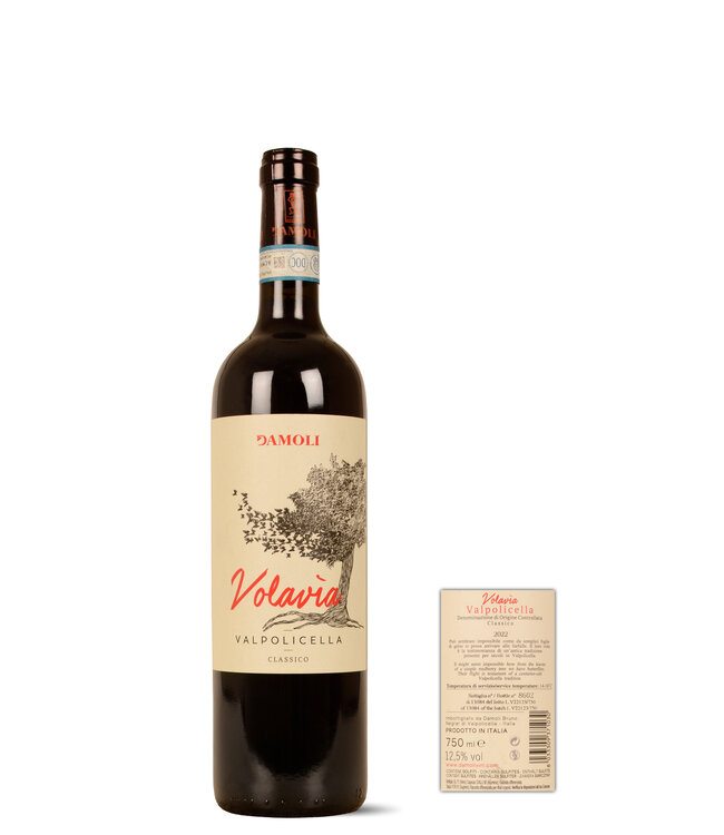 Valpolicella Classico DOC Corvina, Corvinone, Rondinella Rosso 2022