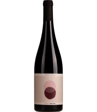 Vins Schaal Sophie Schaal Alsace Pinot Noir  2024