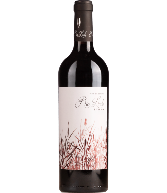 Syrah 2023