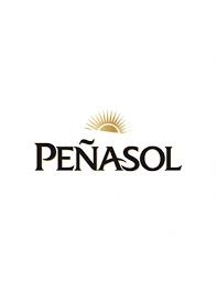 Peñasol