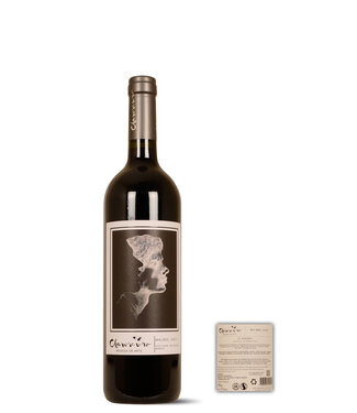 Cavas De Rossel Boher Valle de Uco y Alto Agrelo Malbec 2023