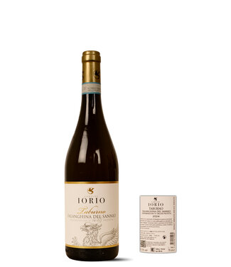 Cantine Iorio Falanghina del Sannio Dop 2024