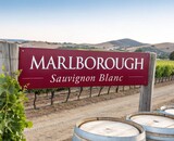 Sauvignon Blanc van Marlborough - New Zealand