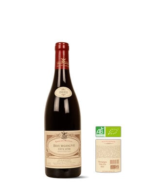 Seguin Manuel Bourgogne Cote D'or Rouge 2023