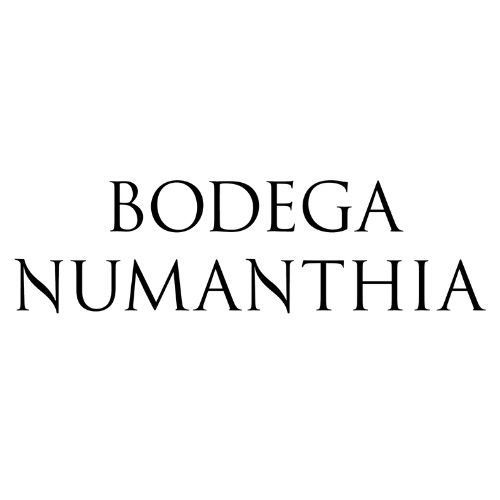 Bodega Numanthia