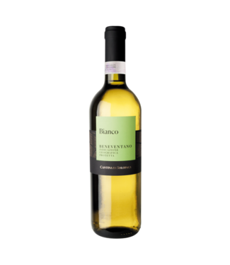 Cantina di Solopaca Beneventano IGT 2024