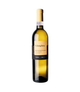 Cantina di Solopaca Beneventano IGT Falanghina 2024