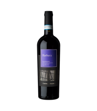 Cantina di Solopaca Barbera Sannio DOP 2023