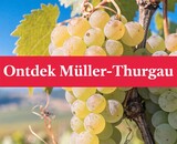Ontdek de Müller-Thurgau druif: veelzijdige witte wijn
