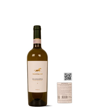 Indomito Falanghina Beneventano 2025