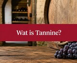 Wat is tannine? De complete uitleg voor wijnliefhebbers