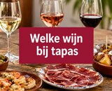 Welke wijn bij tapas: De complete Spaanse pairing gids